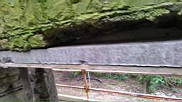 acastle
                          102955.jpg
